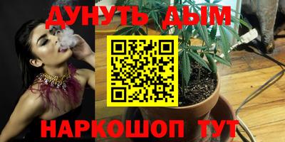 сатива Заводоуковск