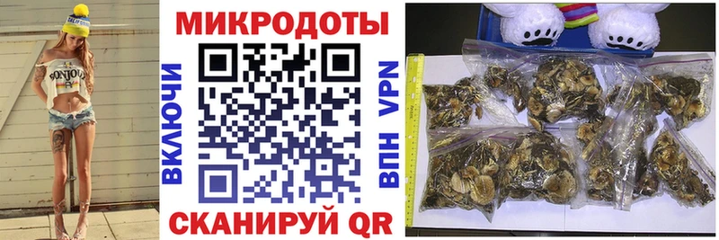 ссылка на мегу ссылки  купить наркотики сайты  Кушва  Псилоцибиновые грибы Magic Shrooms 