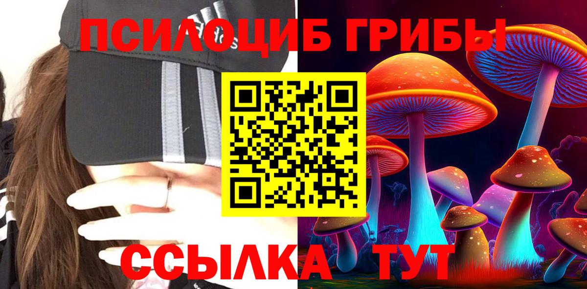 Псилоцибиновые грибы Psilocybe Кушва