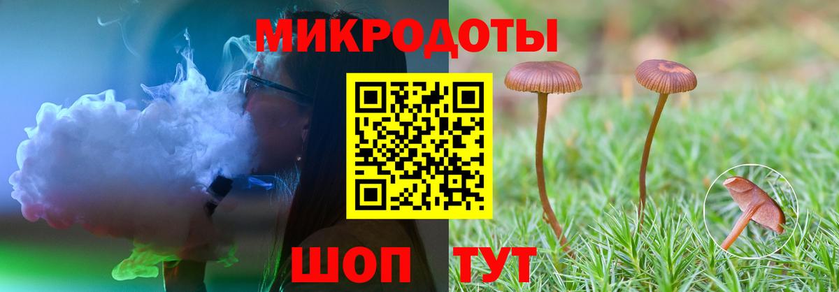 Галлюциногенные грибы Magic Shrooms  Вход с VPN  Псилоцибиновые грибы Psilocybe  Кушва 